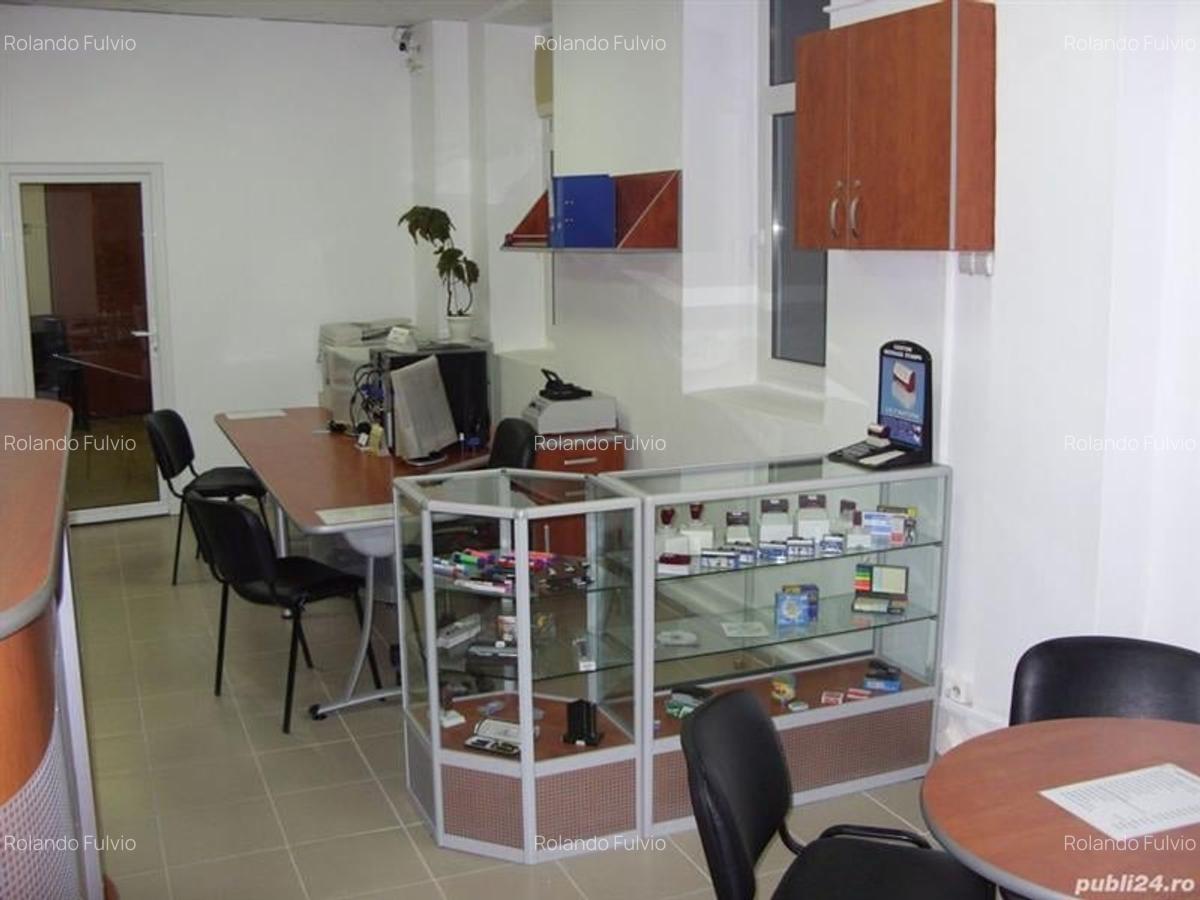 Vanzare casa si teren Mosilor - 8