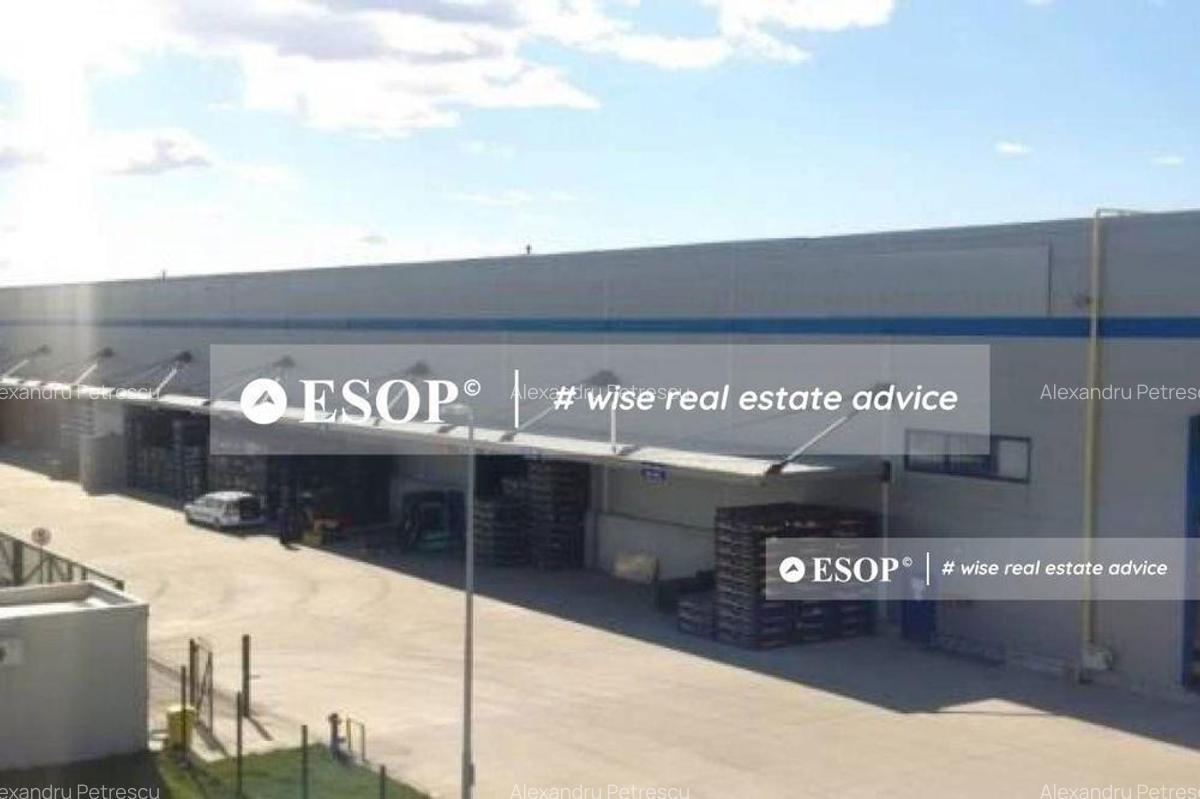 WDP Industrial Park Oarja, spatii industriale, 3.000 - 13.525 mp - 2