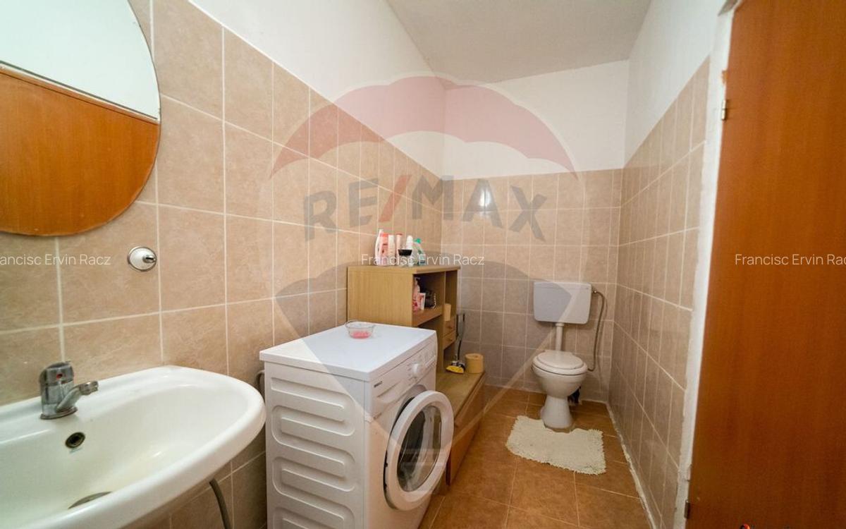 Imobil renovat, 2 apartamente, gradina ?i garaj Turnu - 17