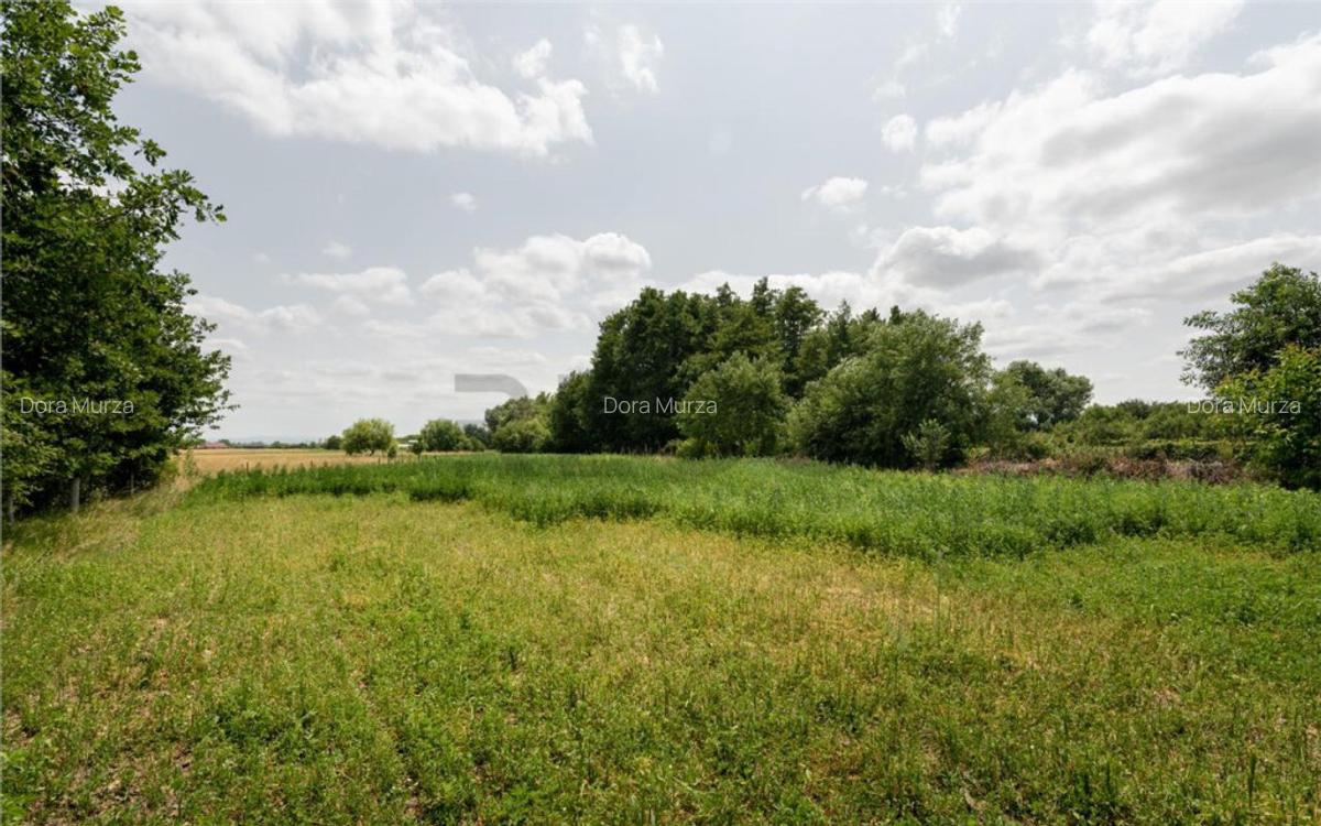 RECO Casa de Ineu - 13