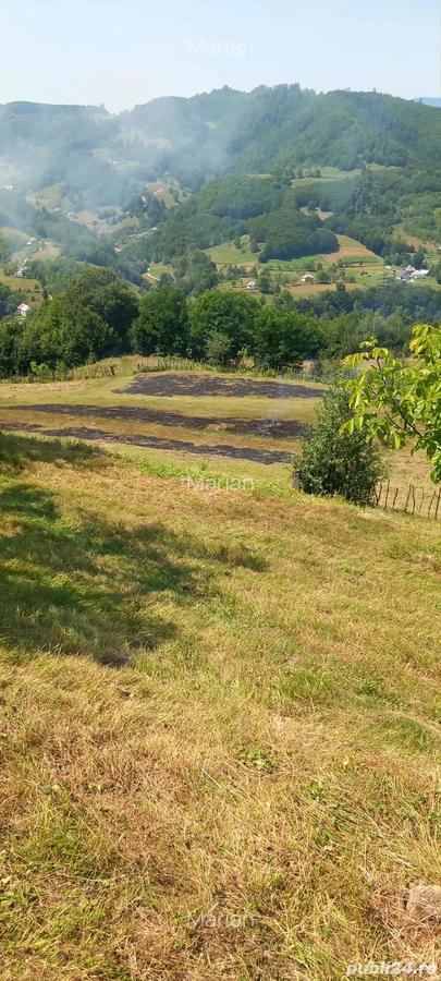 Casa locuibila + teren 8900 mp, utilita?i, anexa, livada-toate actele. - 6