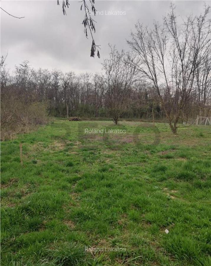 RECO . TEREN INTRAVILAN PALEU - 2