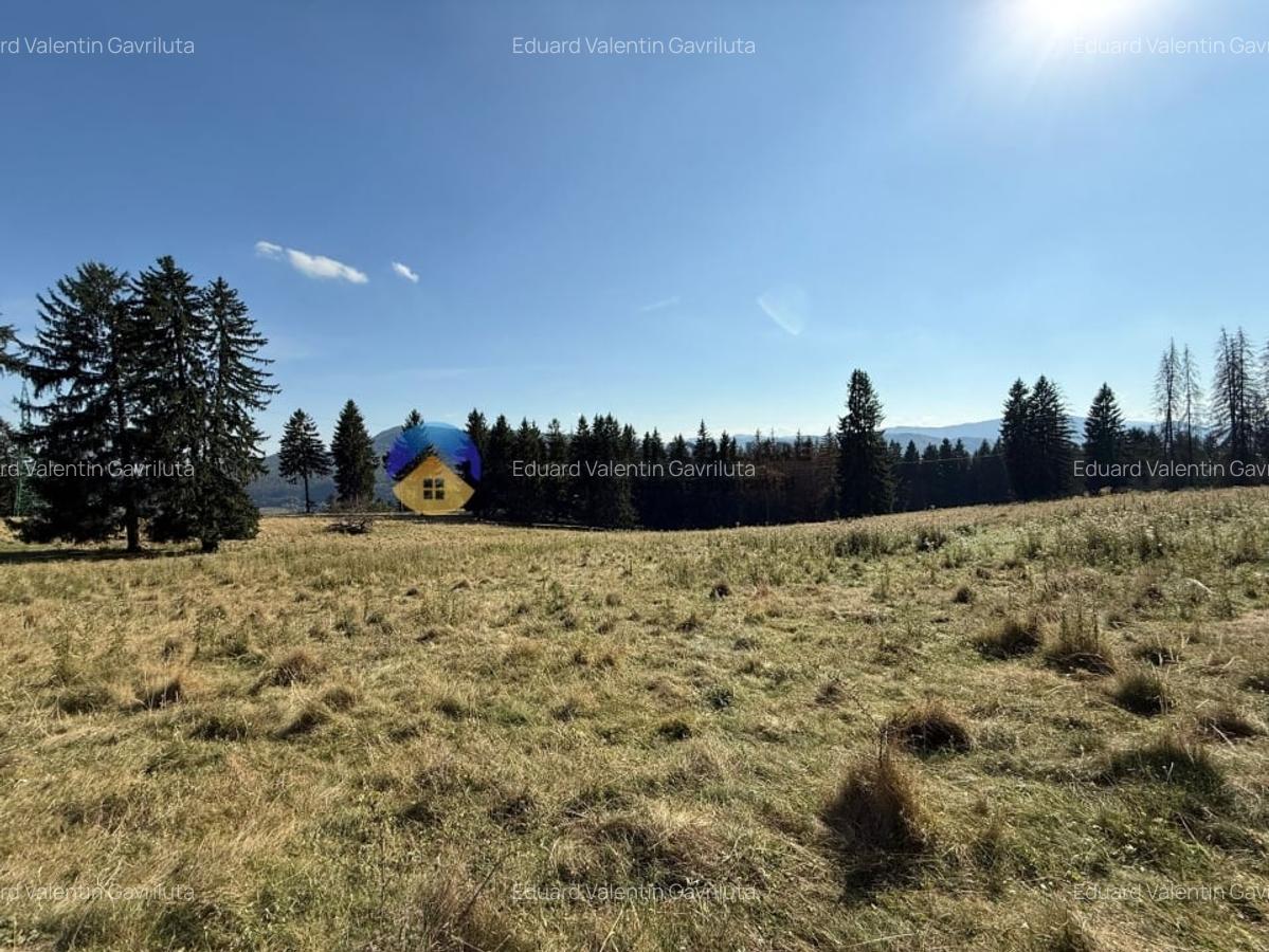 Teren de vanzare 5000 mp - Piatra Neamt - 2