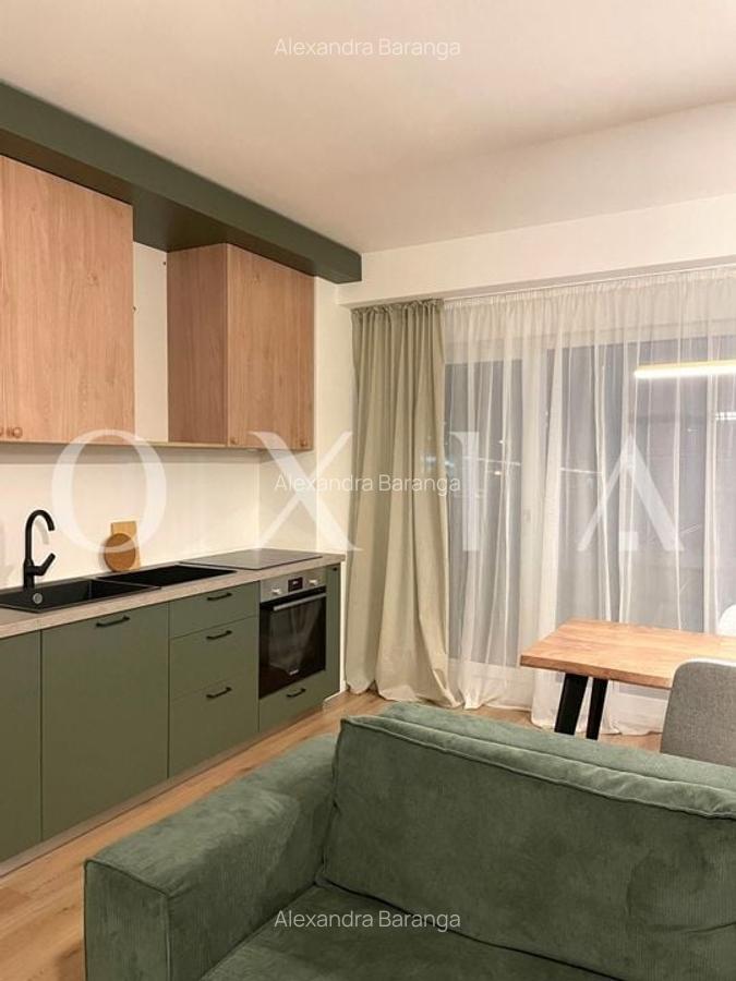 AX1146 Lipovei, Certificat Green Homes, Preluare Business - 10