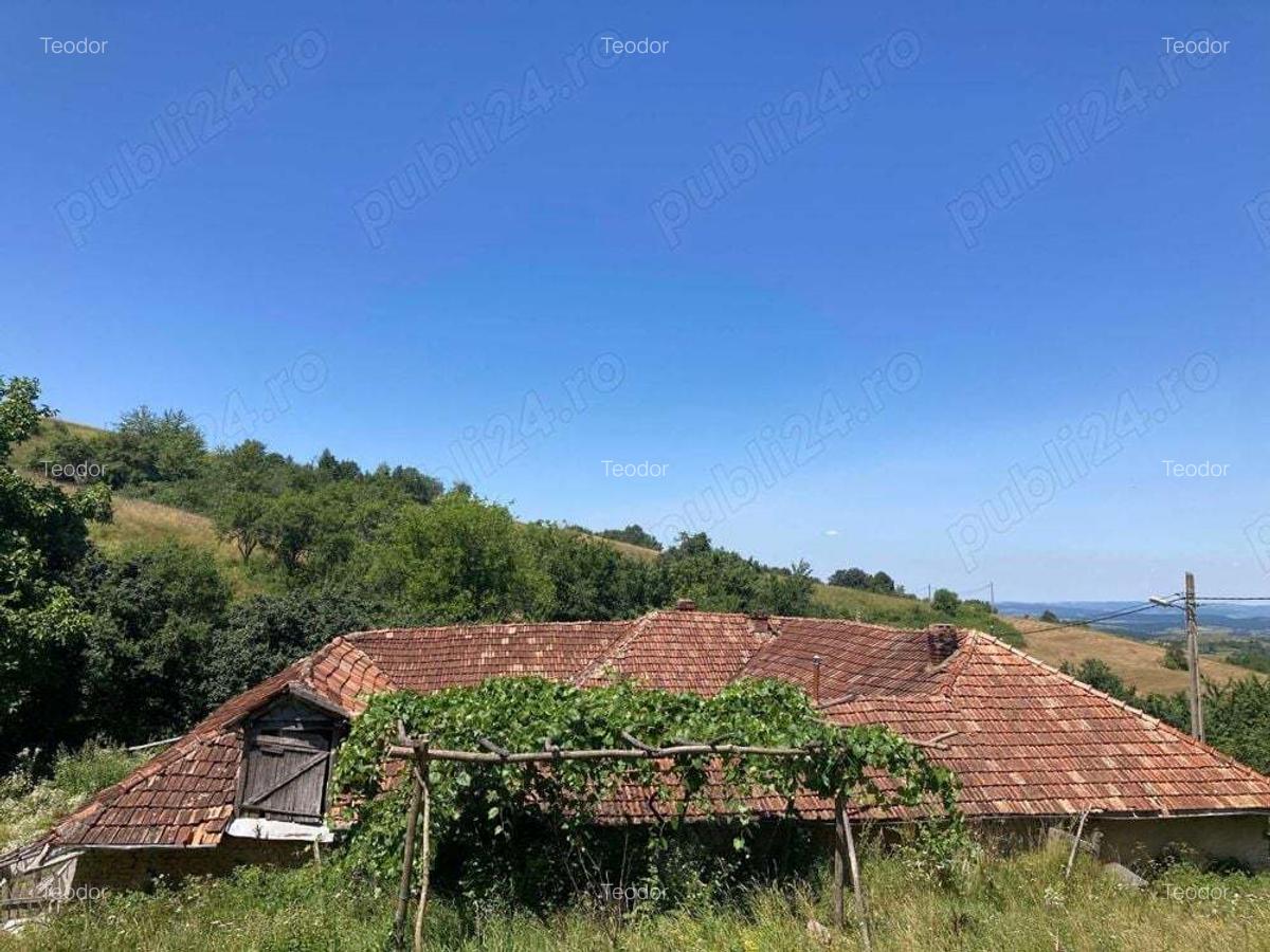 Se vinde casa bunicilor - 9