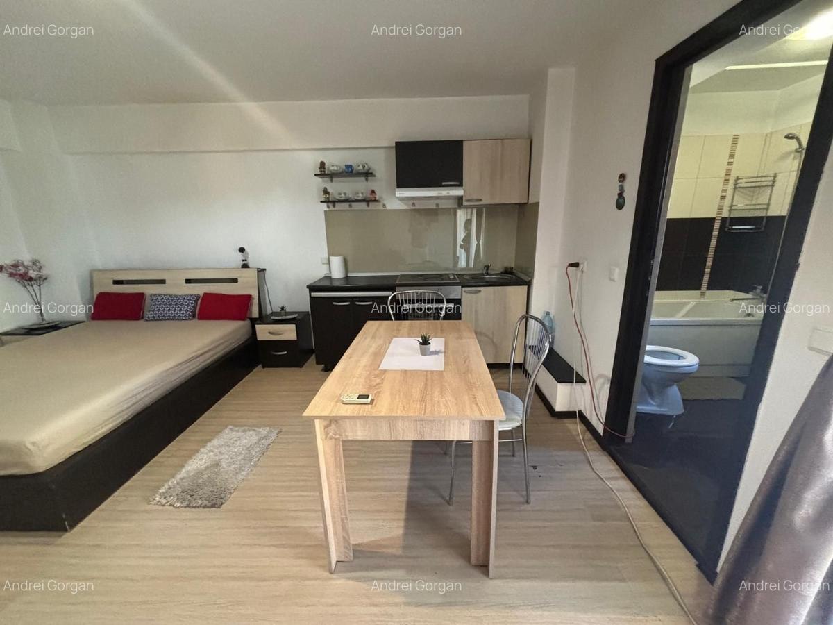 Apartament 1 camera in zona Palas - 2
