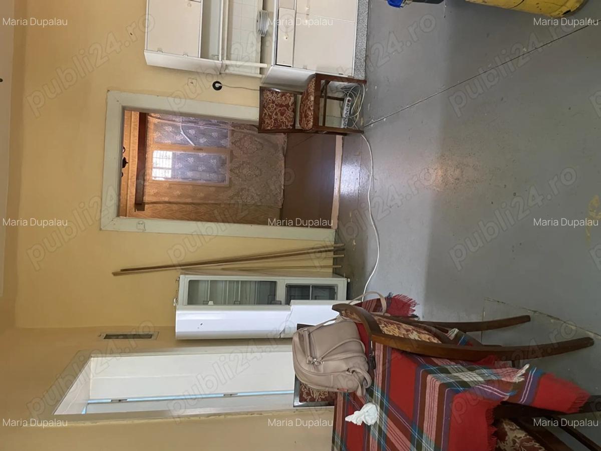 Casa de vanzare in Sannicolaul Mare - 6