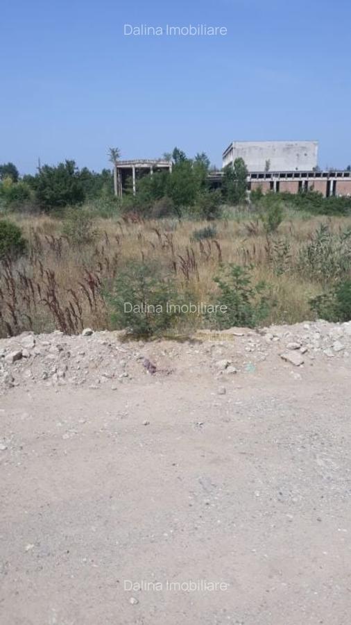 Spre Vanzare - Teren Intravilan - Vitanul Nou - Palady - 8