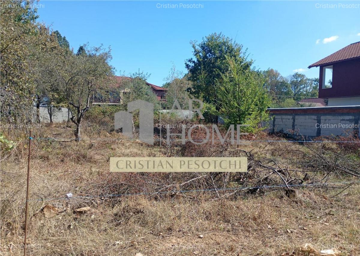 Teren intravilan 572 mp, deschidere 16m, Baicoi - 2