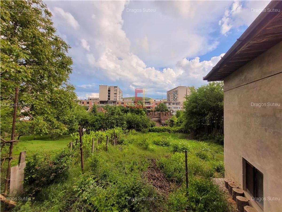 Casa 4 camere ,110 mp, Papiu Ilarian, singur in curte - 3