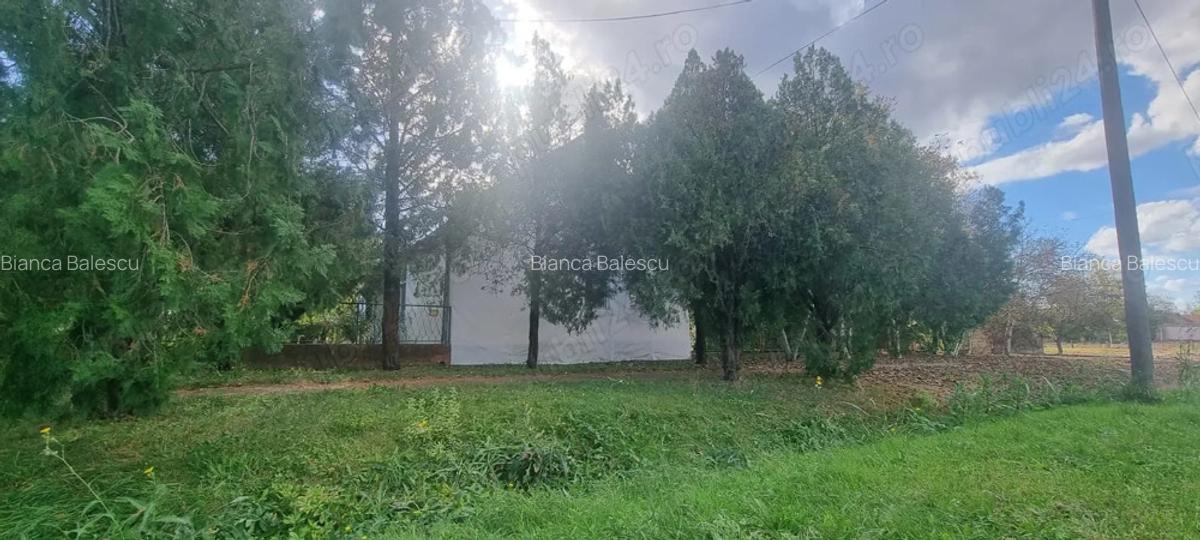 Casa de vanzare in Serbia, sat Vojvoda Stepa (10 minute de vama cu Jimbolia) - 1