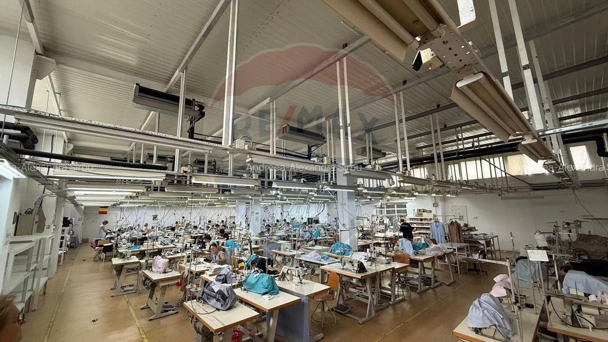 Spatiu industrial Braila - 10