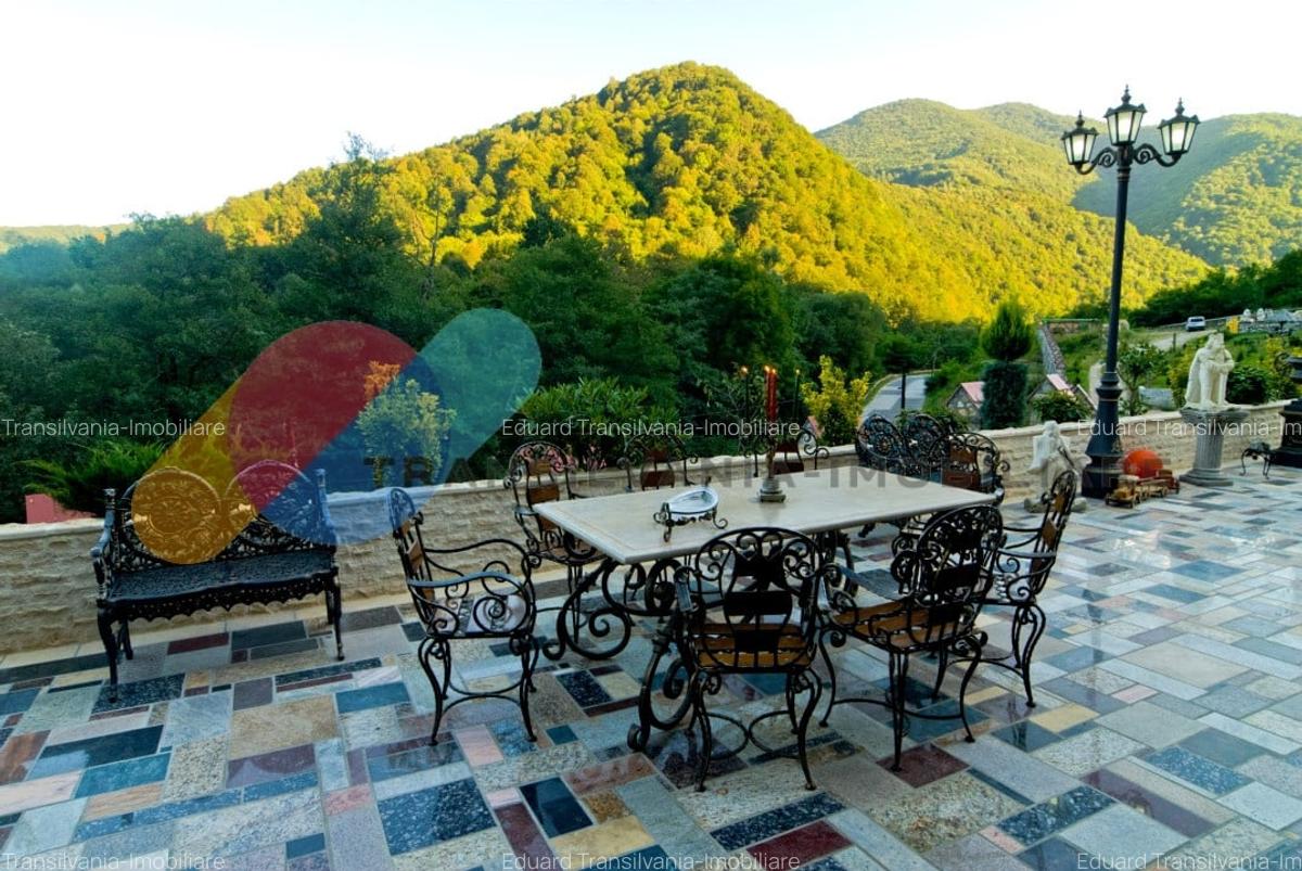 Complex  Printesa din Carpati  - Oportunitate de Investitie Unica pe Valea Aries - 9