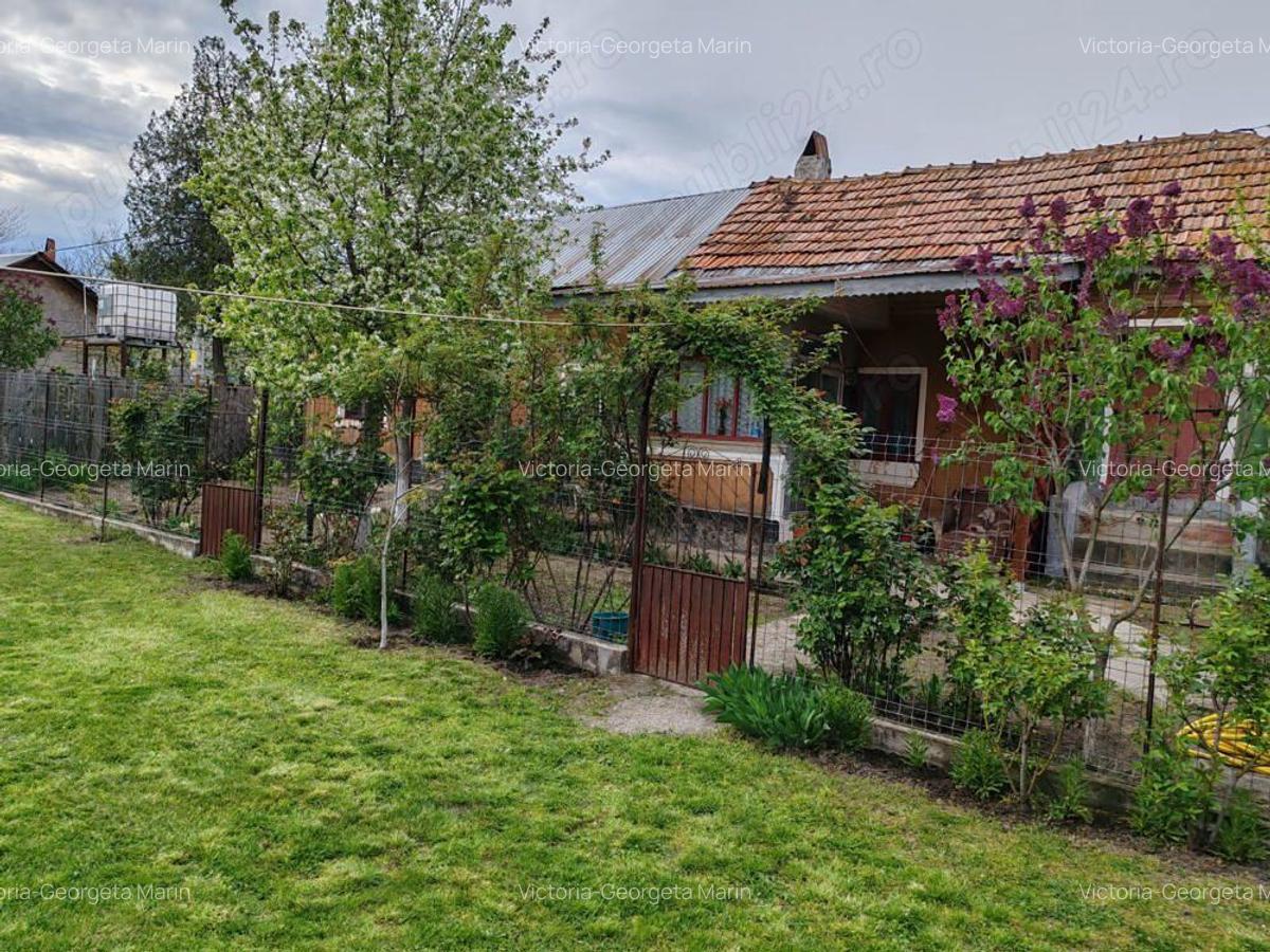 Teren cu casa batraneasca de vanzare - 2