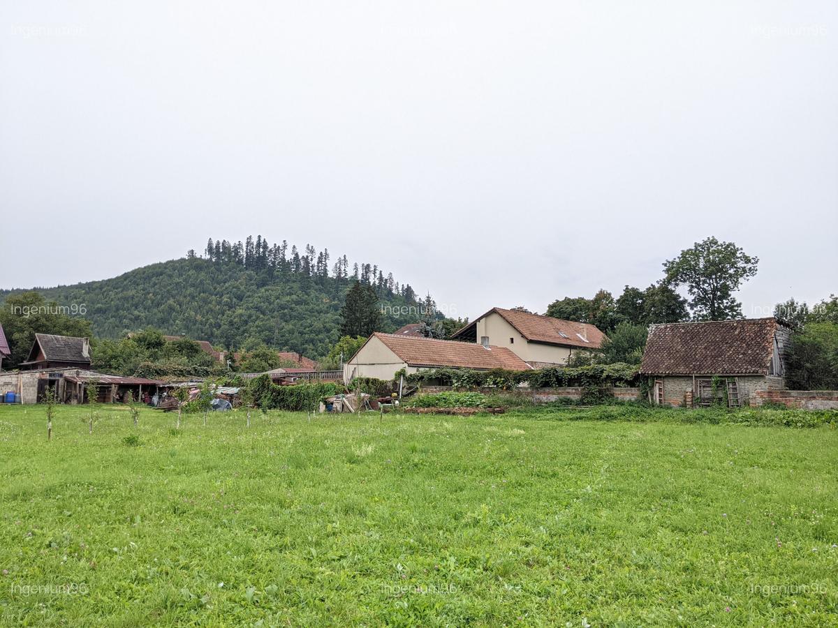 Cristian teren cu toate utilitatile si vedere frumoasa - 1