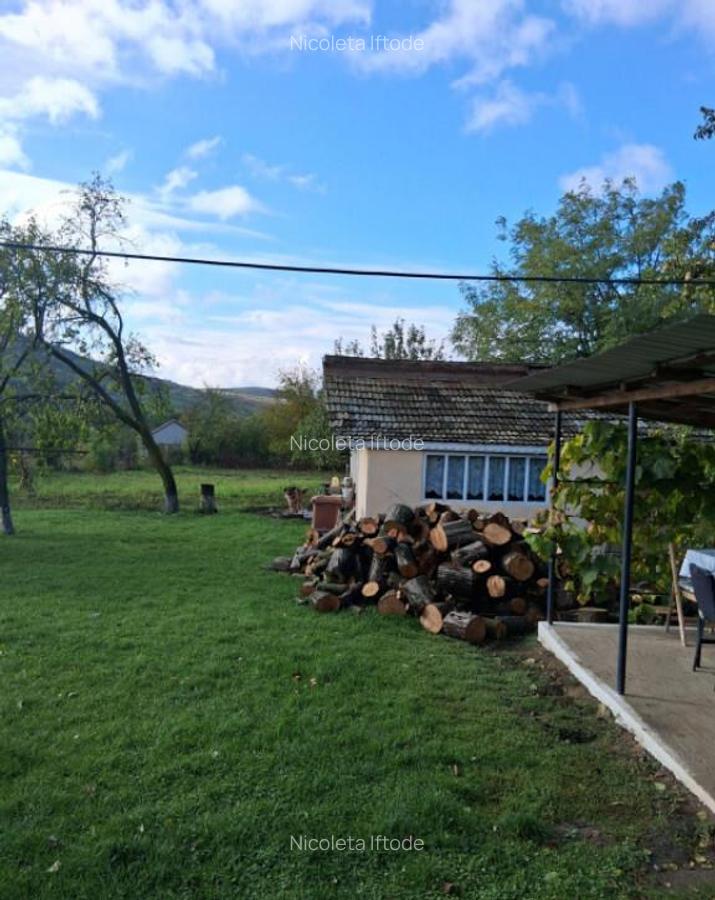 Casa si teren 2000mp Draguseni - 2