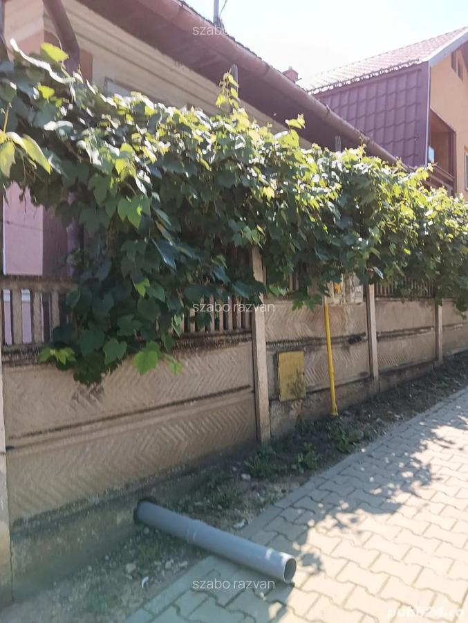 Vand casa sau schimb cu garsoniera sau apartament - 5