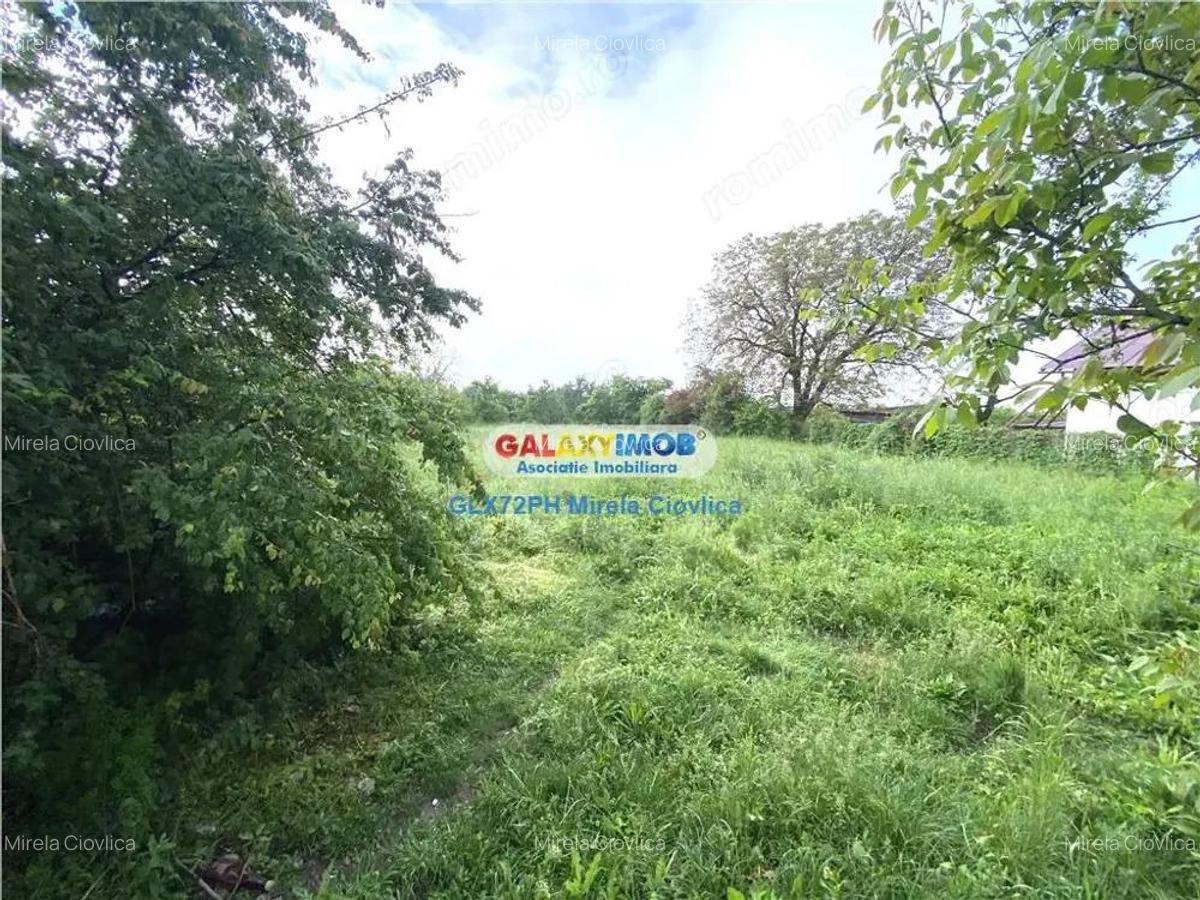Vanzare teren intravilan Baicoi Prahova - 6