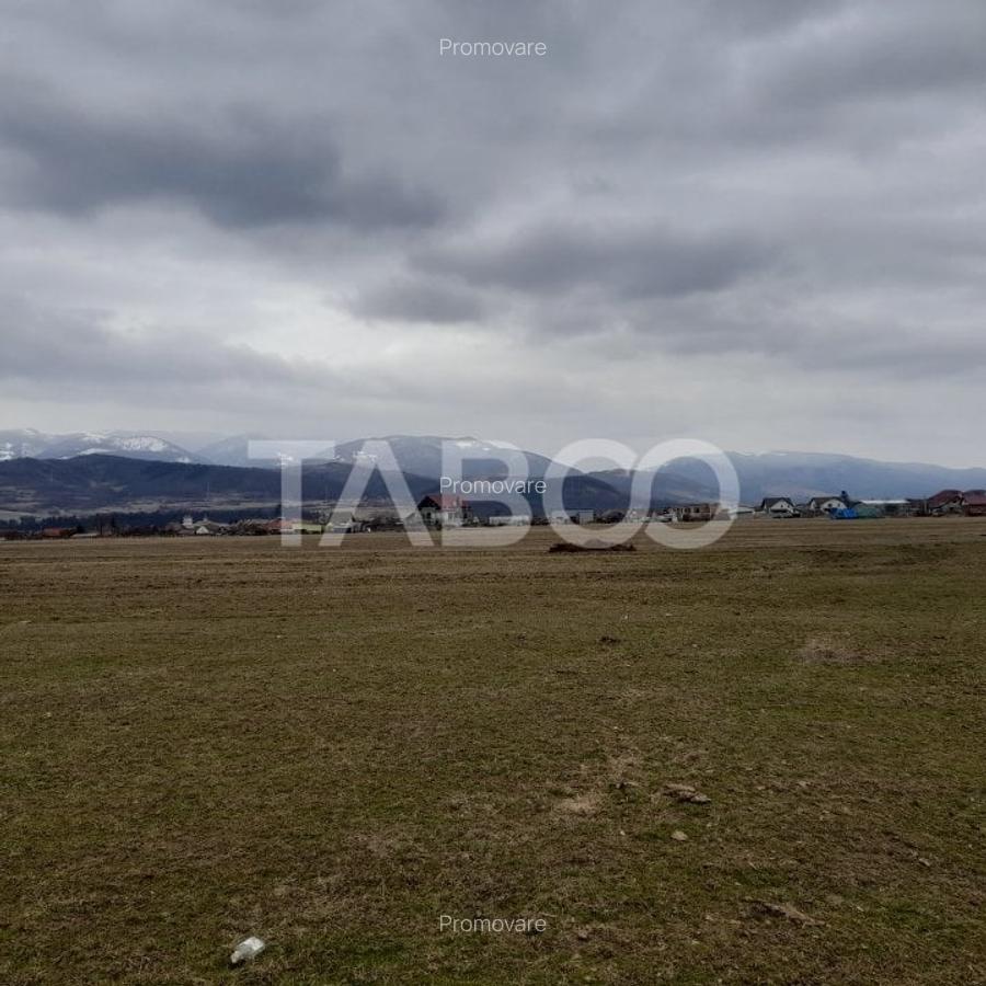 Teren intravilan 11.400 mp deschidere 45 ml in Talmaciu zona de case - 1