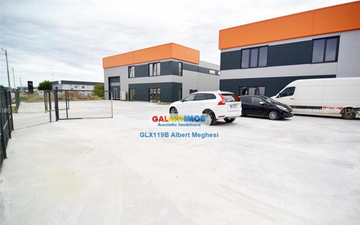 Hala 482 mp Chiajna Centura - 7