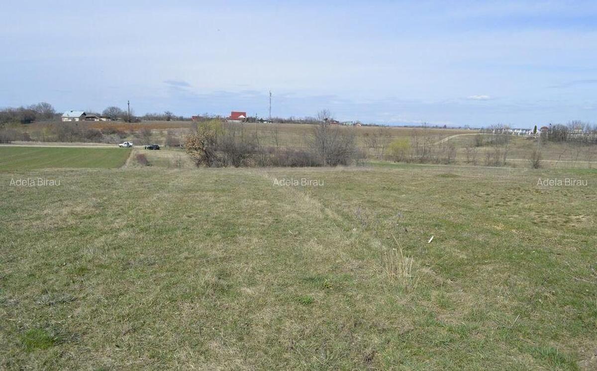 Suseni - Teren intravilan rezidential, suprafata 4000 mp - 10