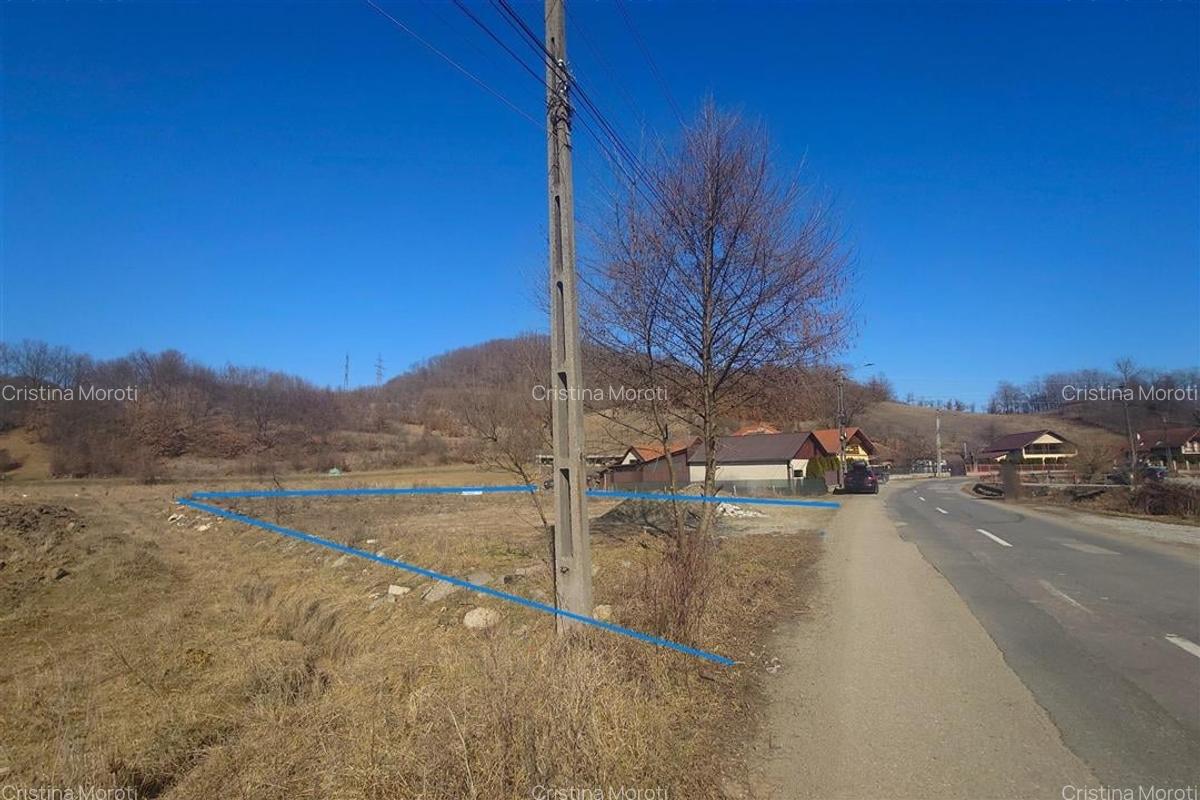 Teren intravilan in Brad - 2