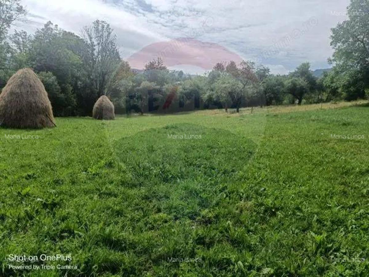 Casa / Vila cu 3 camere de vanzare - 4