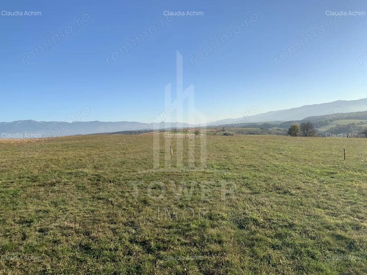 Teren pentru constructie cabana in Dealul Daii-parcele de 650 mp - 2 Teren pentru constructie cabana in Dealul Daii-parcele de 650 mp - 2