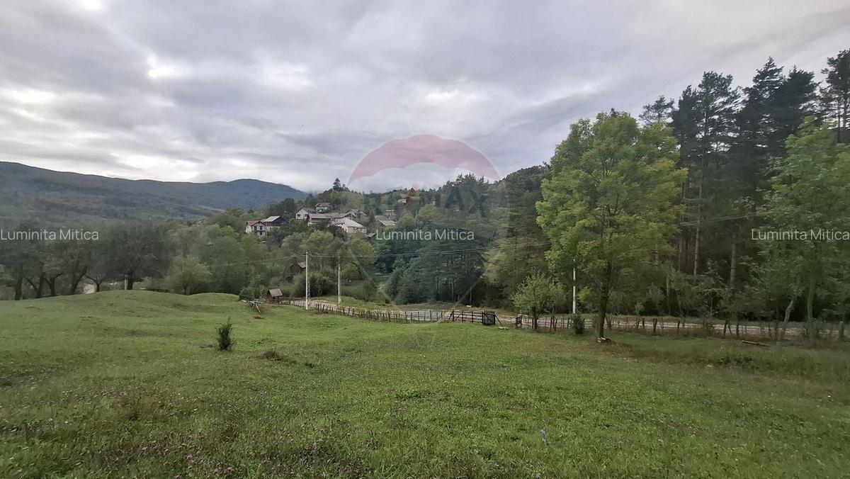 Teren cu priveliste spectaculoasa, 4000mp, la 18km de Sinaia - 6