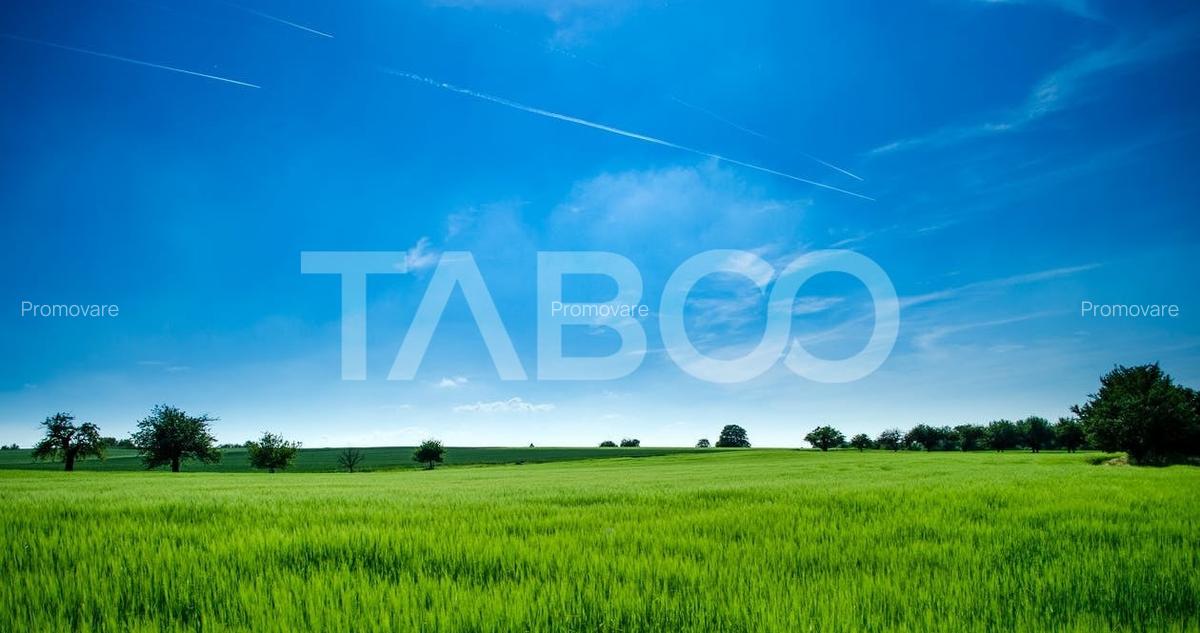 Teren de vanzare 9369 mp langa viitoarea centura Sud a Sibiului - 1