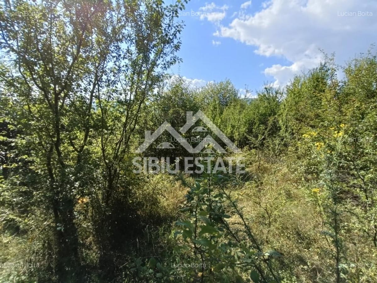 Teren  construibil ,la sosea, intre Vale si Sibiel, zona cu potential - 8