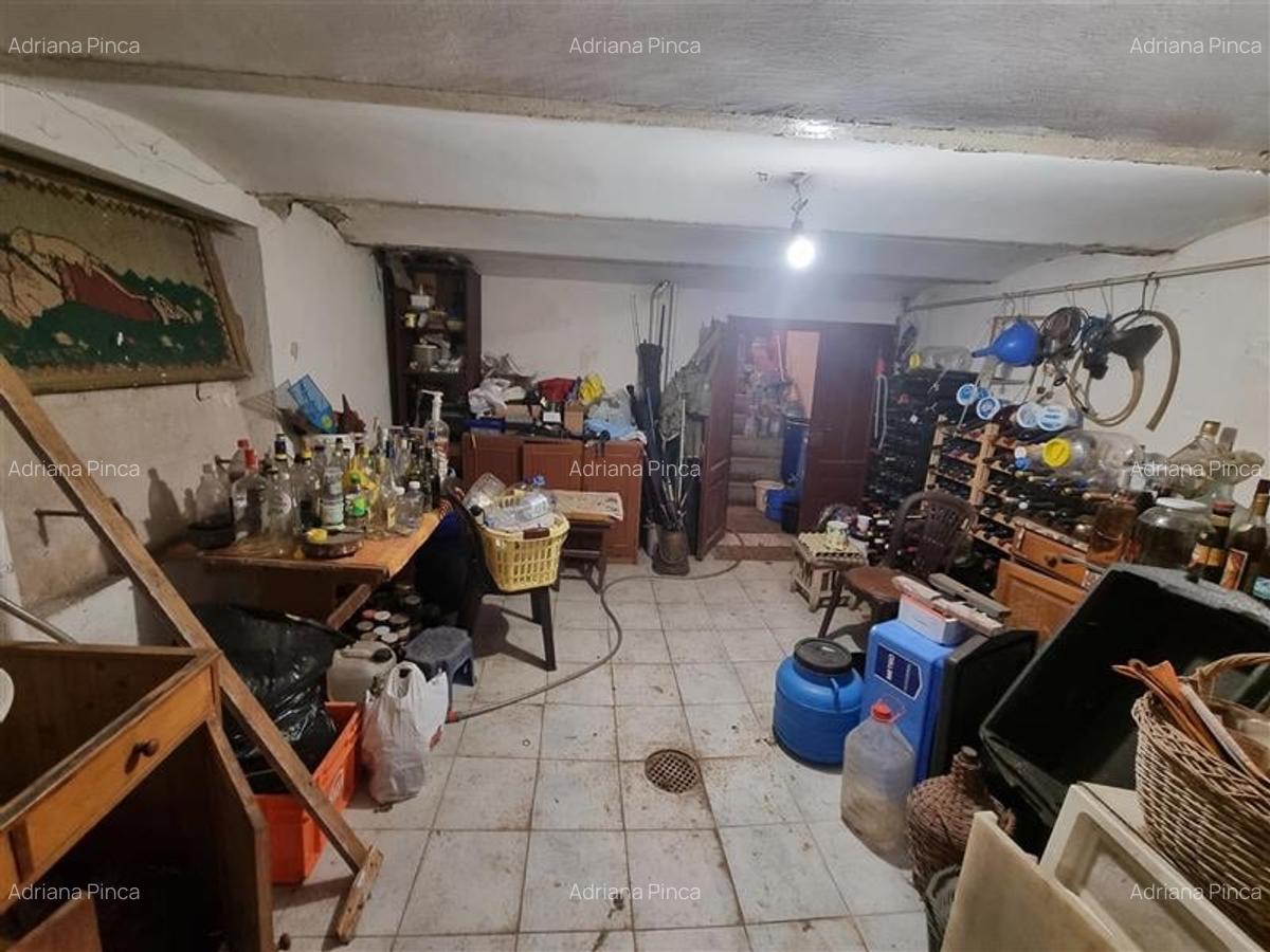 Casa istorica muzeu 4 camere, 2 bai cu 1344 mp teren, ultracentral, Tg Mures - 10