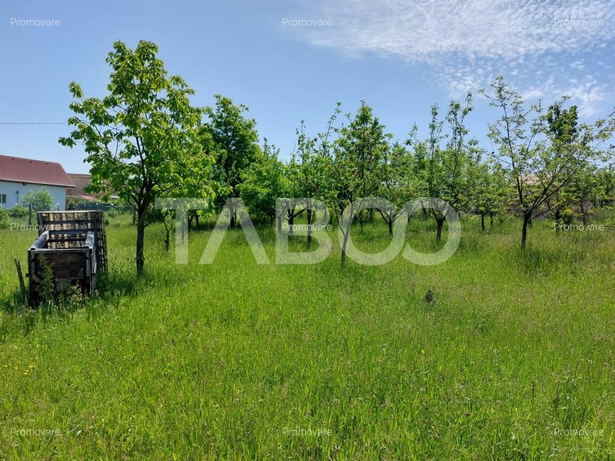 Casa individuala 5 camere cu teren 2000 mp Sura Mare Hamba Sibiu - 14
