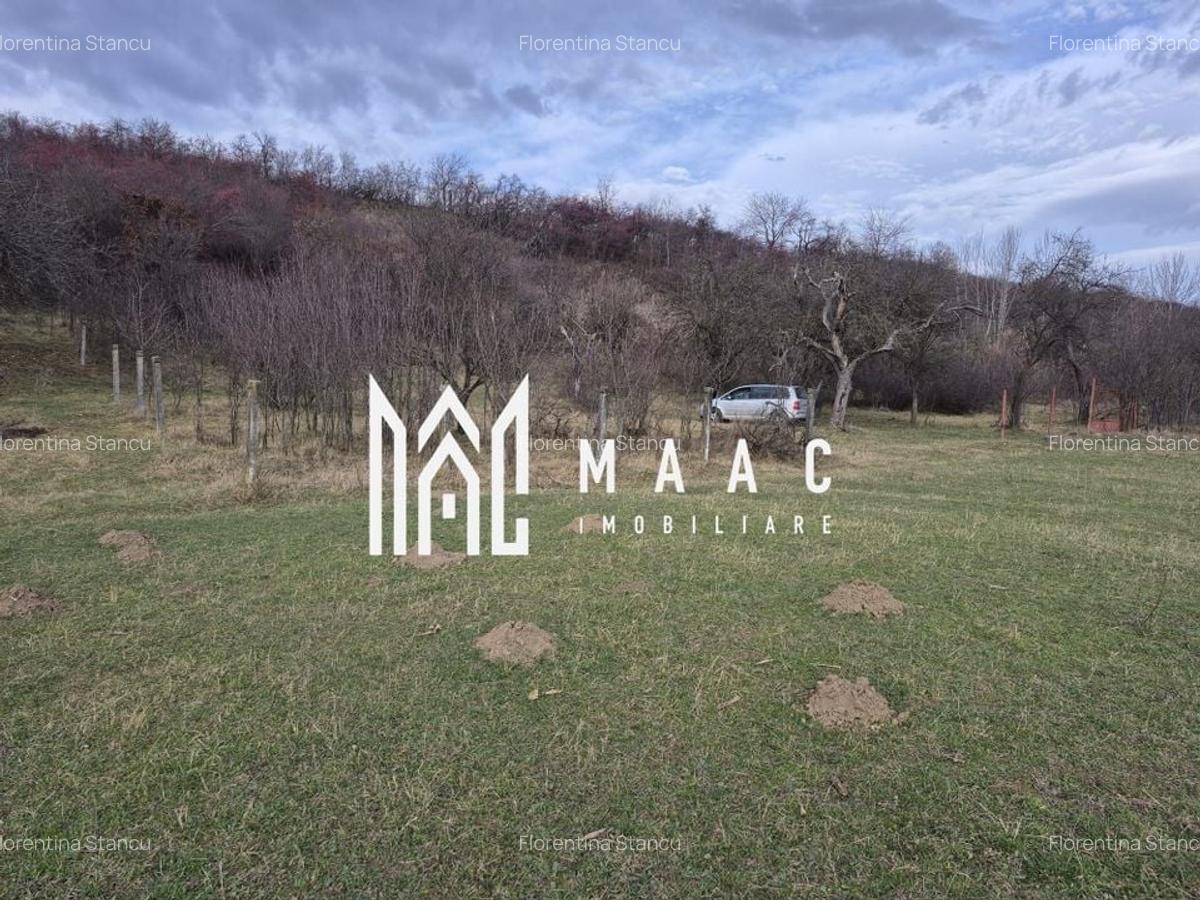 Teren de vanzare | Orlat | Extravilan - 8