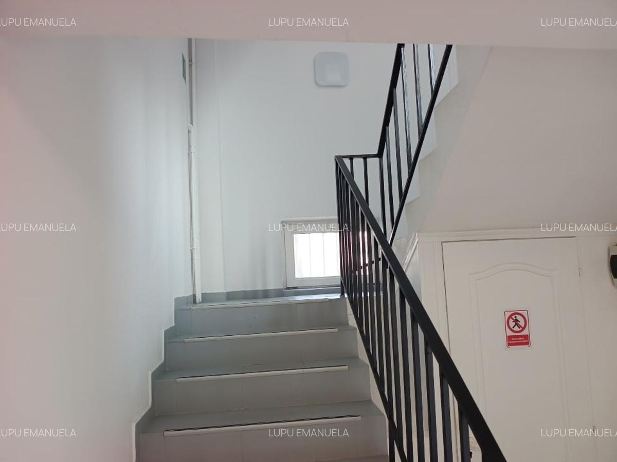 Proprietar vand doua vile in zona Calea Plevnei - 3