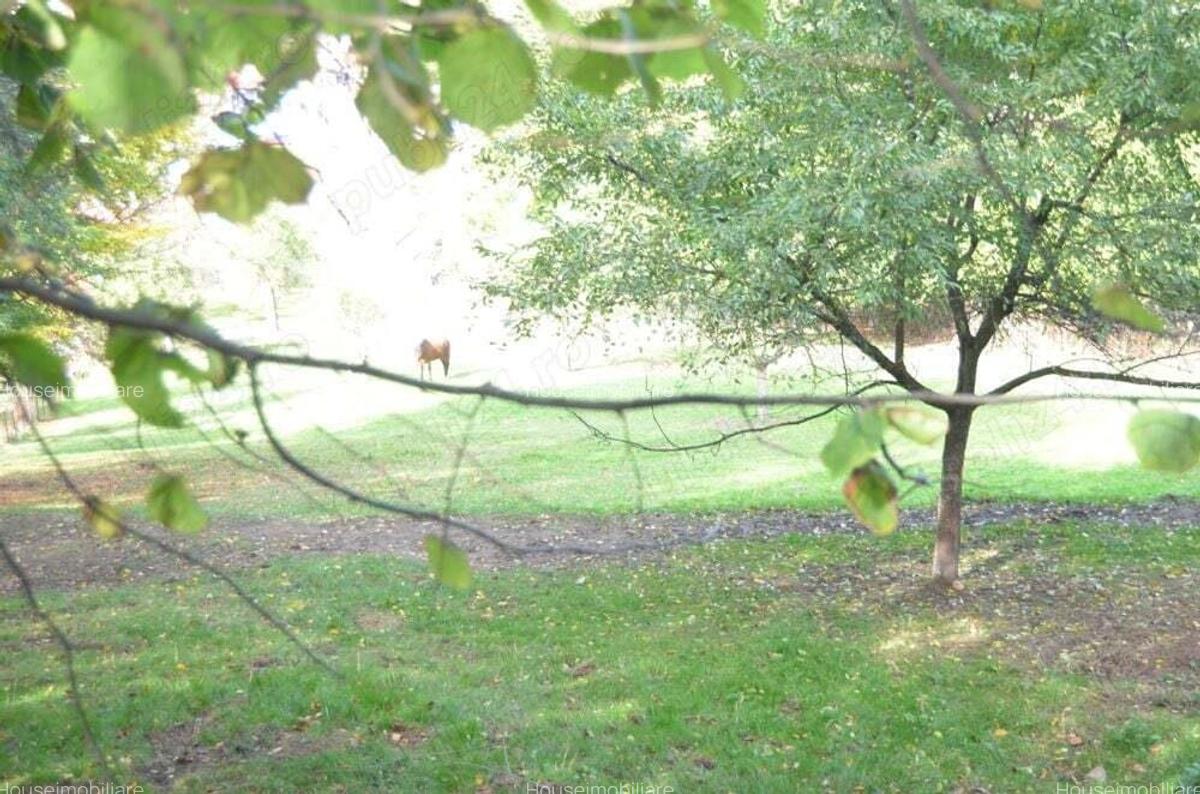 Brasov-Schei -Teren intravilan de vanzare - 10 Brasov-Schei -Teren intravilan de vanzare - 10