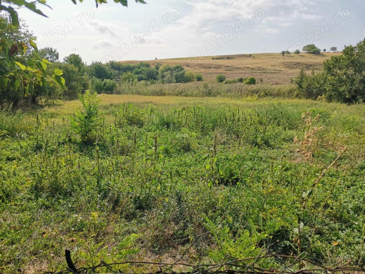 Casa de vanzare in comuna Bogdana - 9