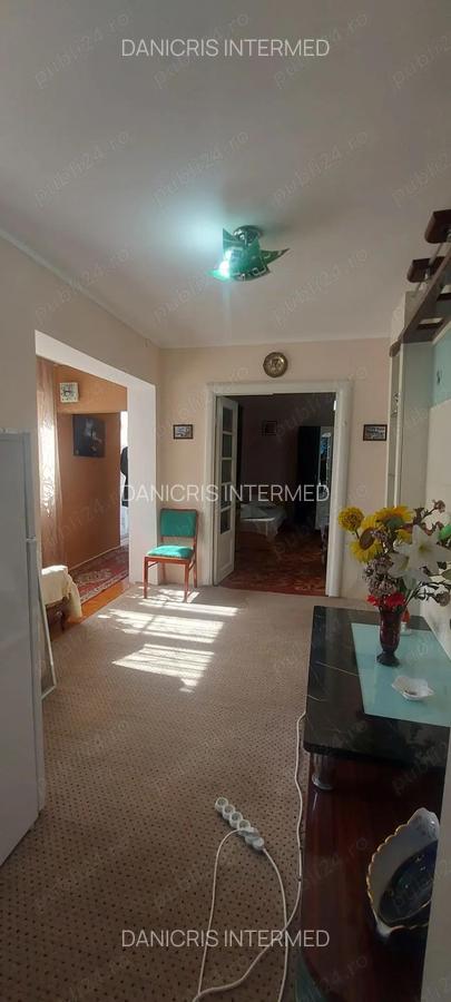 Stadion - Delfinariu - Casa - 4