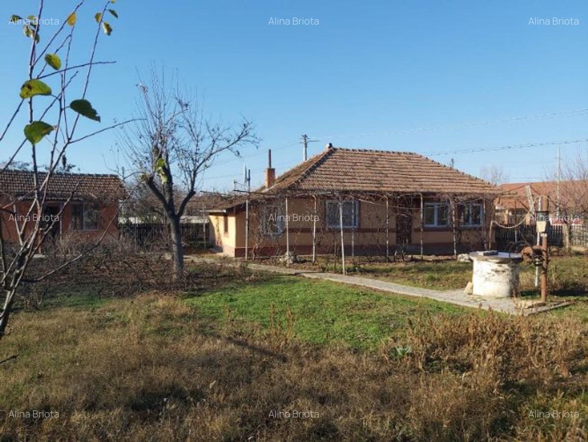 Casa plus teren Andrasesti - 2