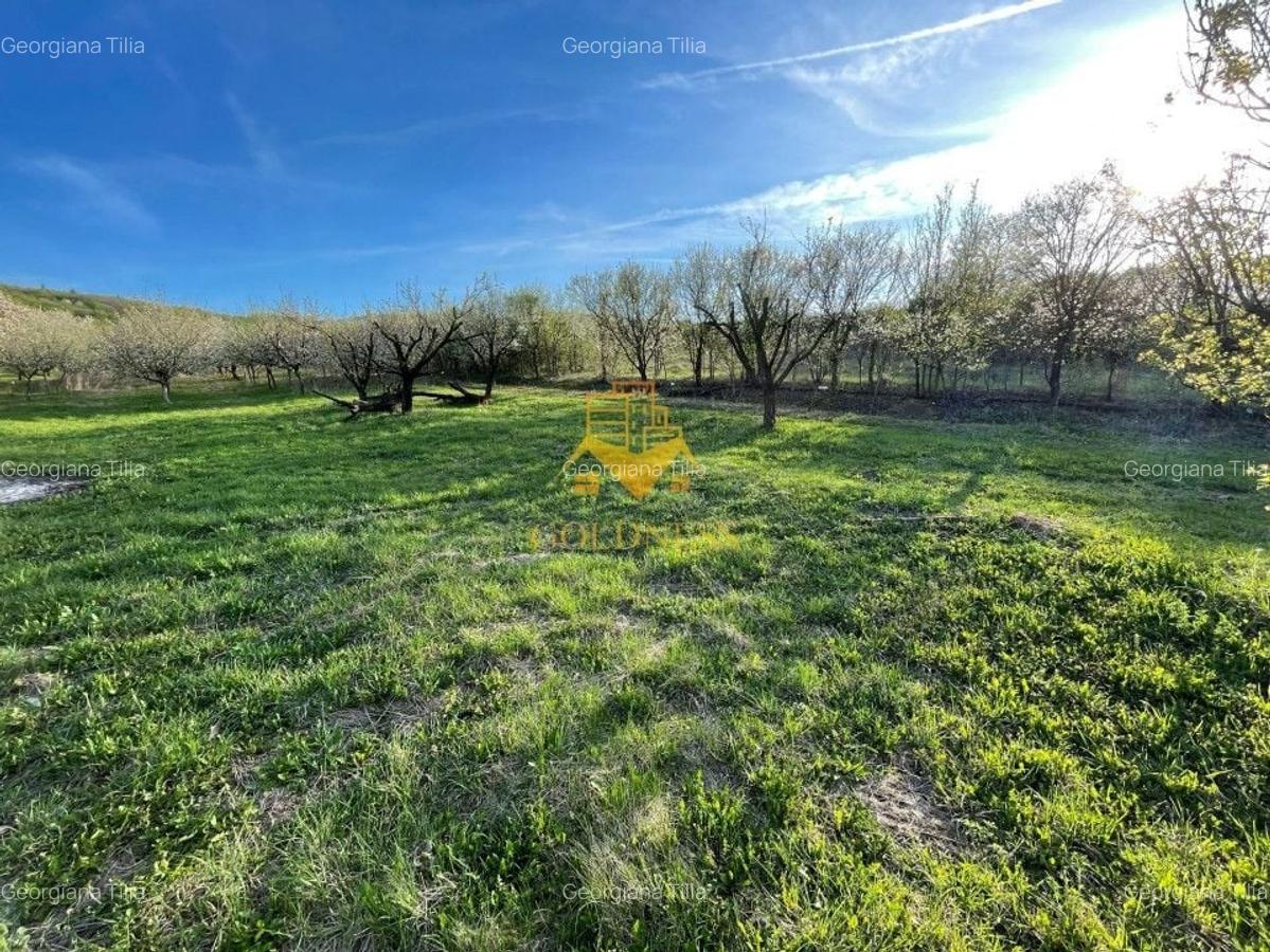 Teren agricol intravilan de 5500 mp, în Sopor - 2