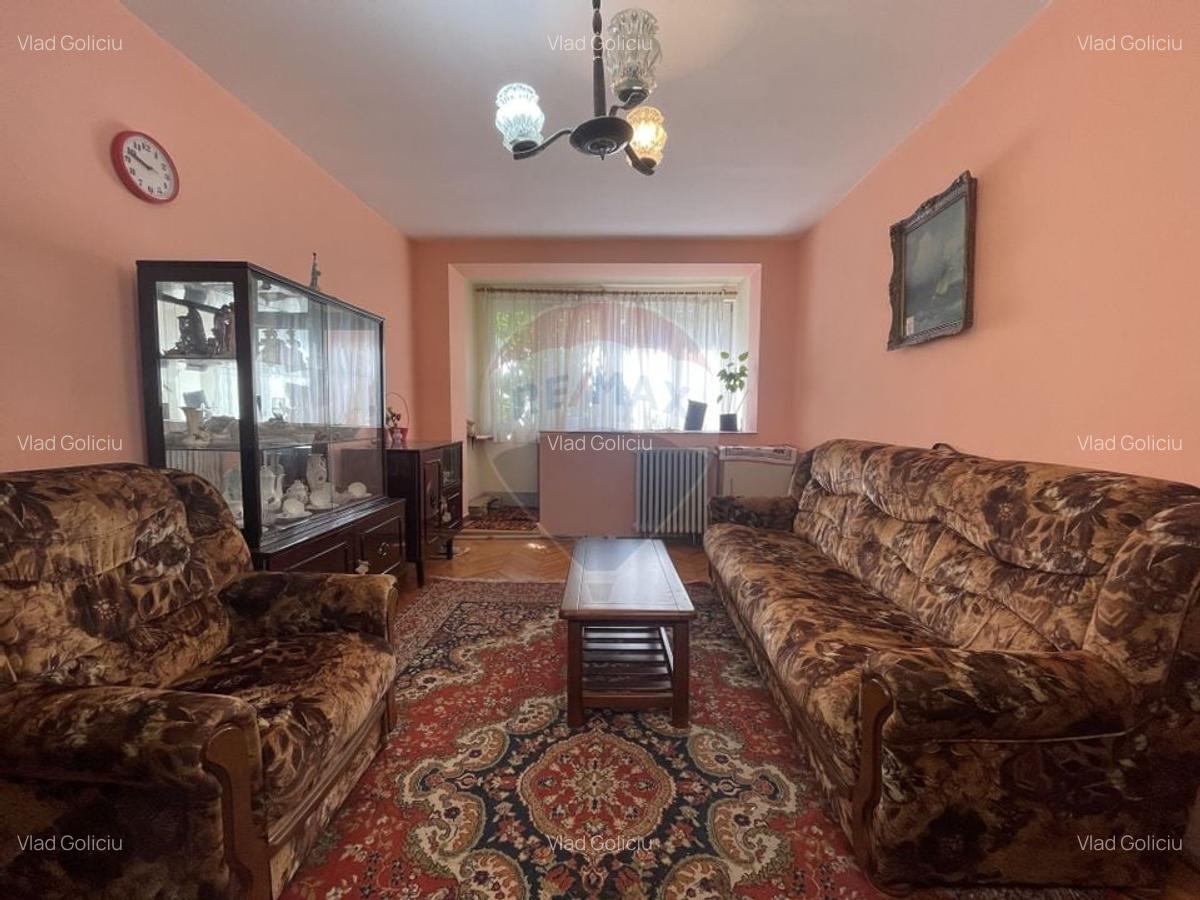Apartament cu 2 camere in Sagului - 3