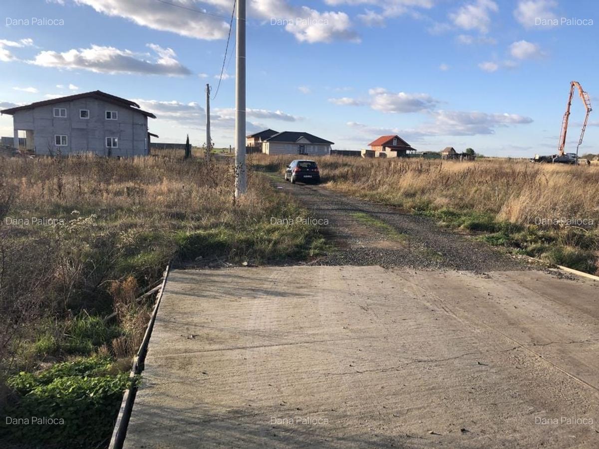 Teren Covaci-770-1540 mp la asfalt - 2