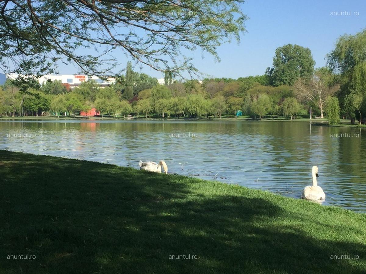 Matei Ambrozie, Park Lake, Parc Titan IOR - 20