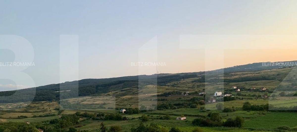 Teren intravilan,18000 mp, situat in Sopor, Exclusivitate! - 3