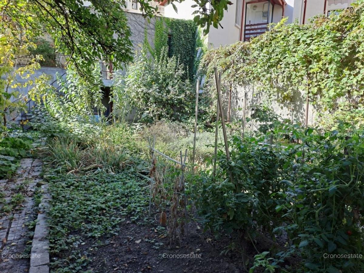 Cotroceni-Parcul Romniceanu, singur curte, garaj, curte generoasa - 6