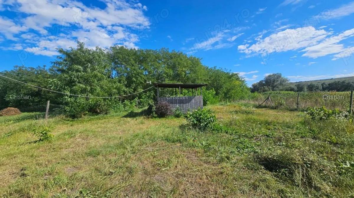 Persoana Fizica vand Teren Cluj - Borsa Catun - Intravilan 2300 mp - Extras CF - Cabana - Foisor - 8