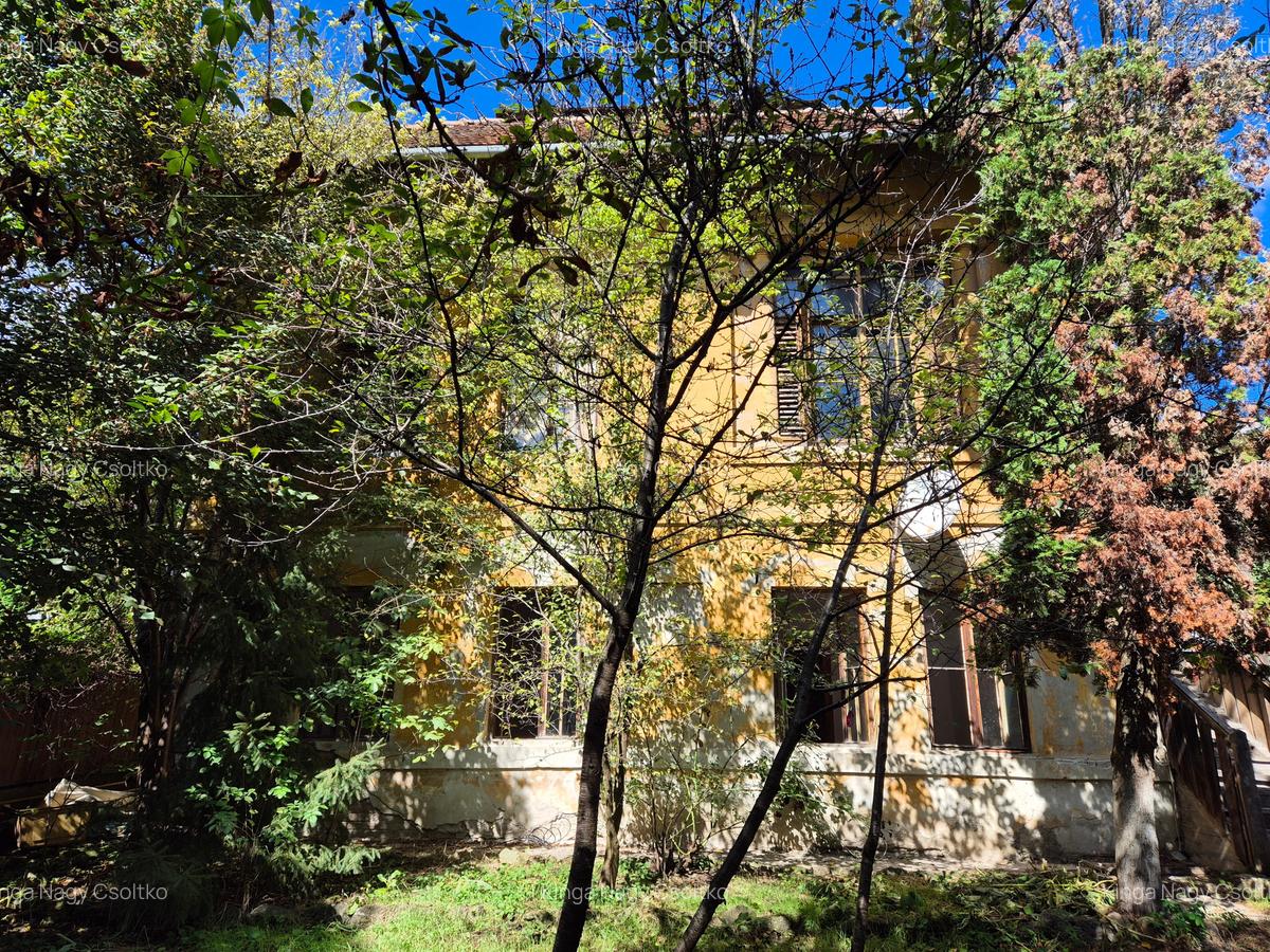 De vânzare – Apartament cu teren generos în cartierul Grigorescu, strada Donath - 12