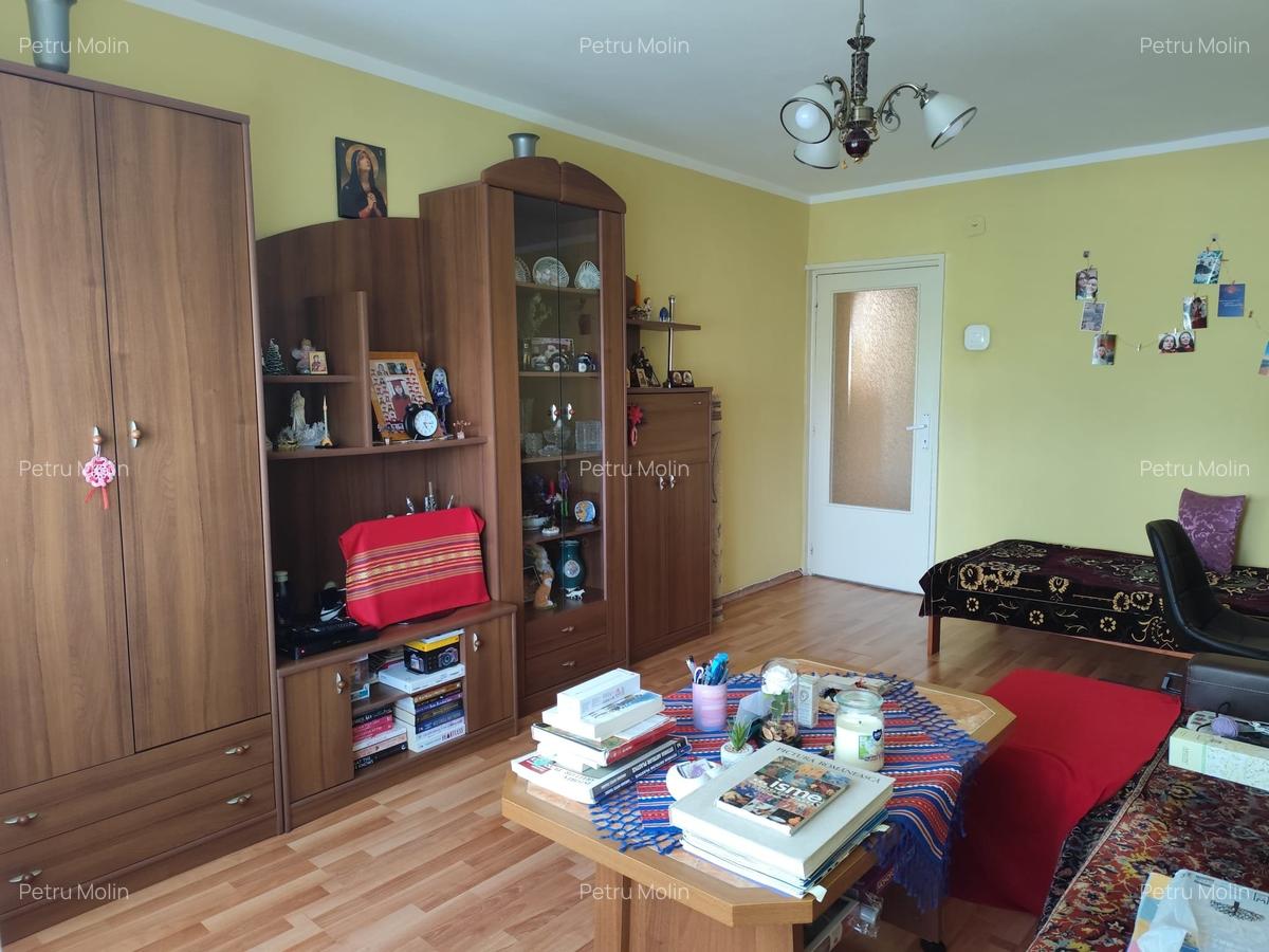 Apartament 2 camere Lipovei-Pizzeria Thalia - 14