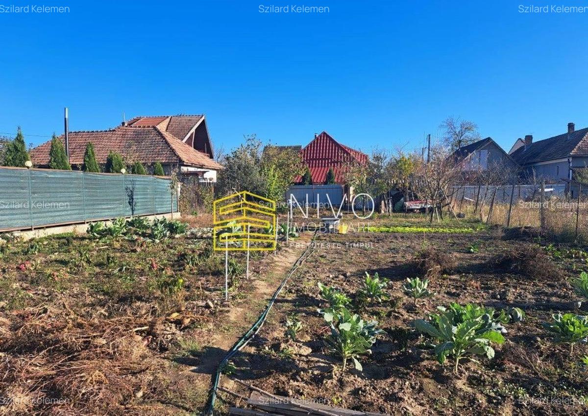 Casa singur in curte Santana de Mure? - 9