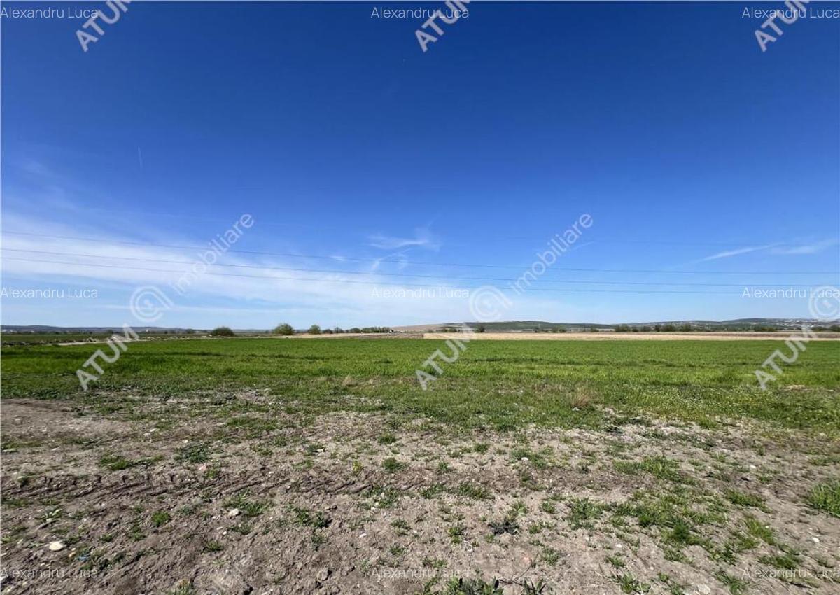 Teren intravilan de 8150 mp situat in Sibiu zona Calea Surii - 4